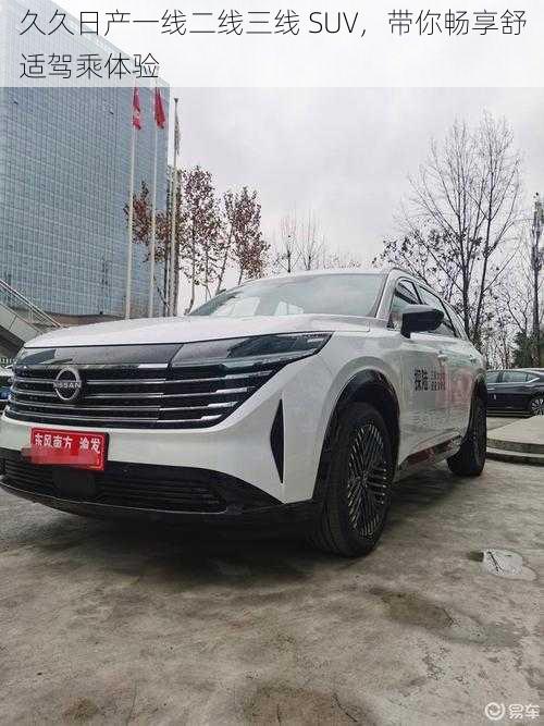 久久日产一线二线三线 SUV，带你畅享舒适驾乘体验