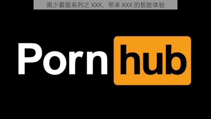 黑少霸爱系列之 XXX，带来 XXX 的极致体验