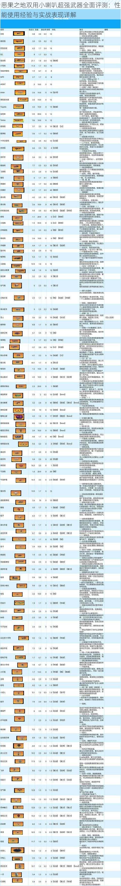 恶果之地双用小喇叭超强武器全面评测：性能使用经验与实战表现详解