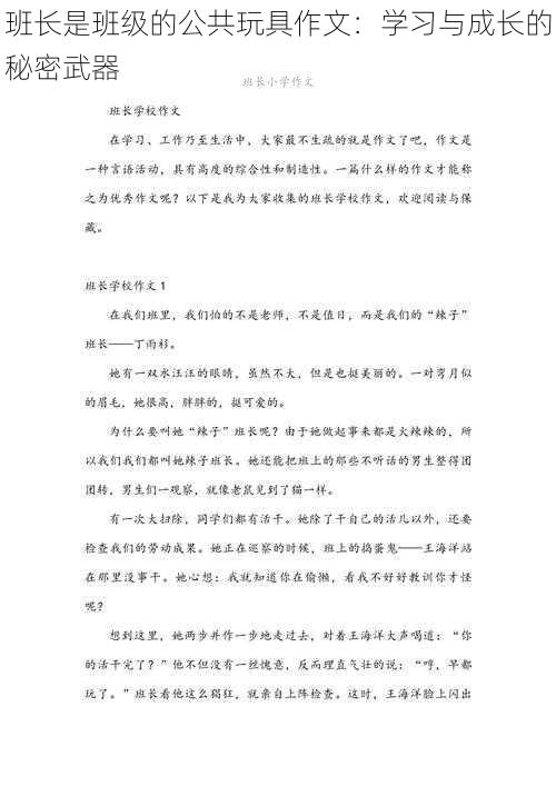 班长是班级的公共玩具作文：学习与成长的秘密武器