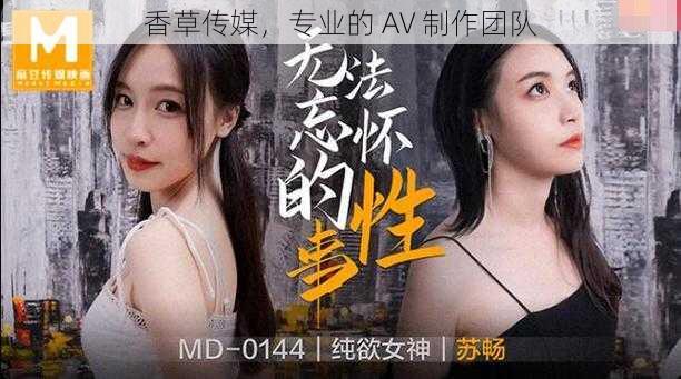 香草传媒，专业的 AV 制作团队