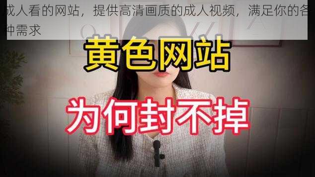 成人看的网站，提供高清画质的成人视频，满足你的各种需求