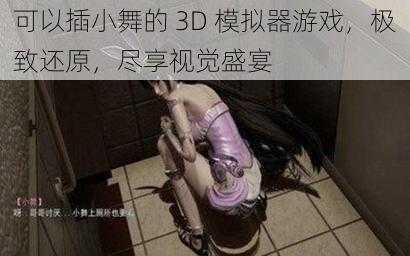 可以插小舞的 3D 模拟器游戏，极致还原，尽享视觉盛宴