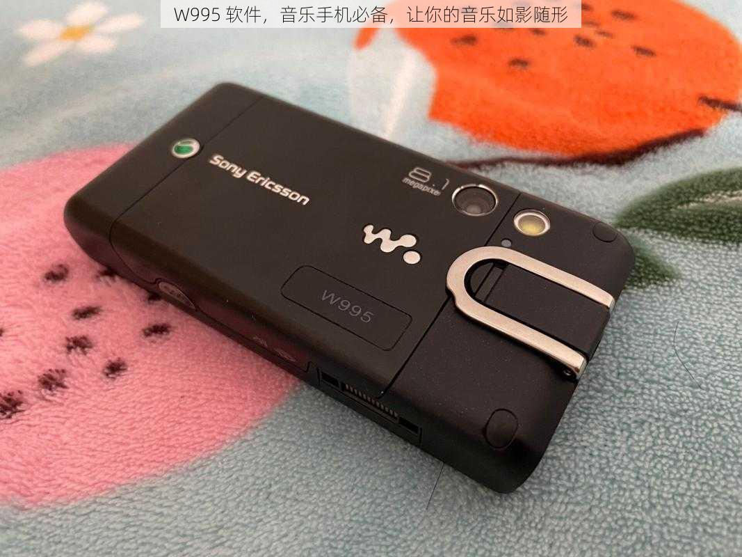 W995 软件，音乐手机必备，让你的音乐如影随形