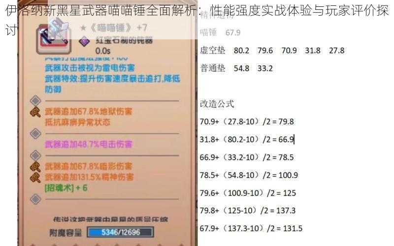 伊洛纳新黑星武器喵喵锤全面解析：性能强度实战体验与玩家评价探讨