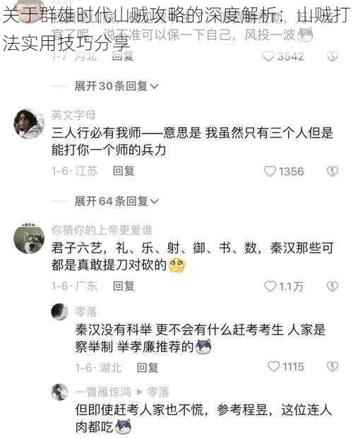 关于群雄时代山贼攻略的深度解析：山贼打法实用技巧分享