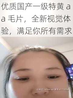 优质国产一级特黄 aa 毛片，全新视觉体验，满足你所有需求