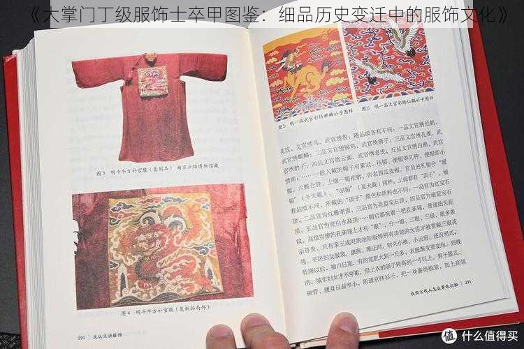 《大掌门丁级服饰士卒甲图鉴：细品历史变迁中的服饰文化》