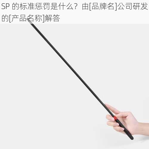 SP 的标准惩罚是什么？由[品牌名]公司研发的[产品名称]解答