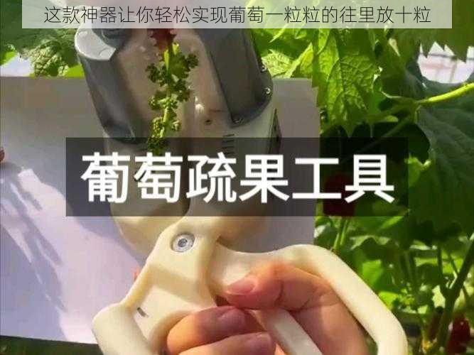 这款神器让你轻松实现葡萄一粒粒的往里放十粒