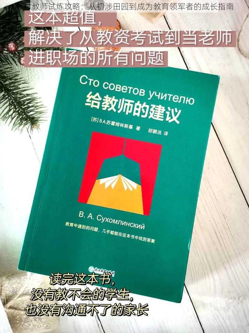 乡村教师试炼攻略：从初涉田园到成为教育领军者的成长指南