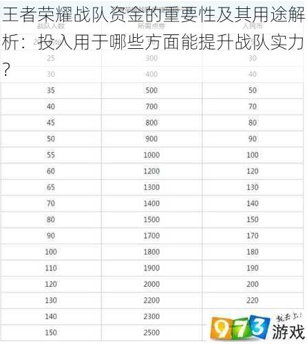 王者荣耀战队资金的重要性及其用途解析：投入用于哪些方面能提升战队实力？