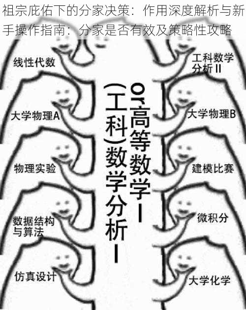 祖宗庇佑下的分家决策：作用深度解析与新手操作指南：分家是否有效及策略性攻略