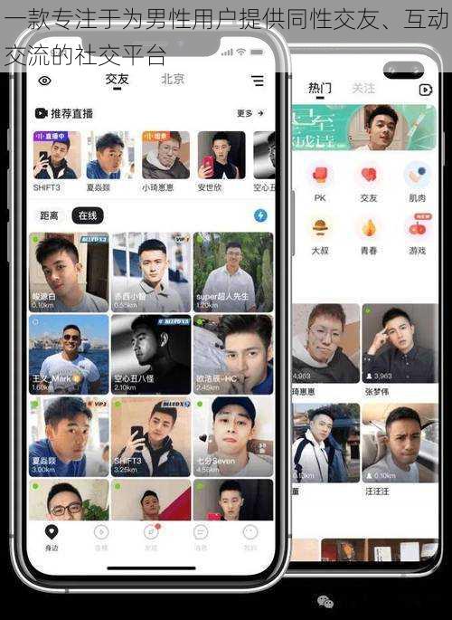 一款专注于为男性用户提供同性交友、互动交流的社交平台