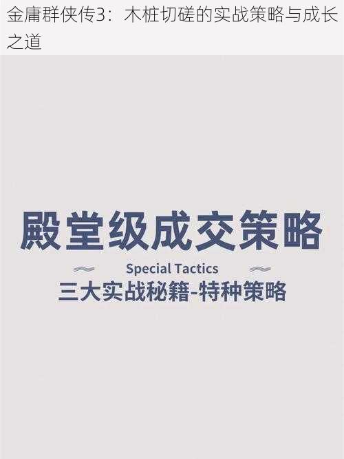 金庸群侠传3：木桩切磋的实战策略与成长之道