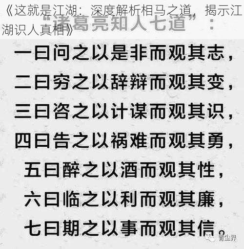 《这就是江湖：深度解析相马之道，揭示江湖识人真相》