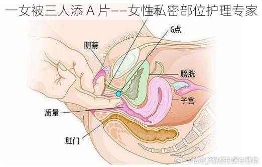 一女被三人添 A 片——女性私密部位护理专家