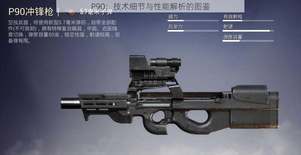 P90：技术细节与性能解析的图鉴