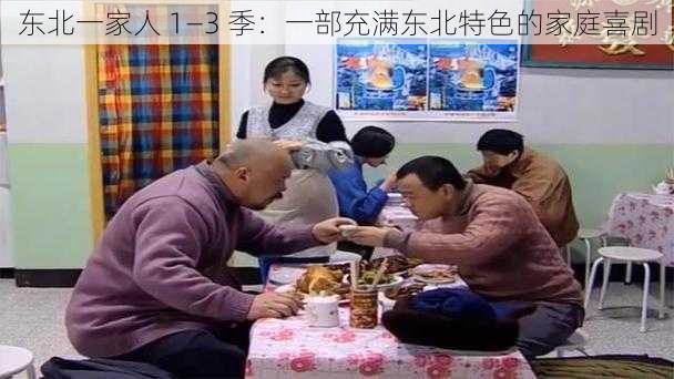 东北一家人 1—3 季：一部充满东北特色的家庭喜剧