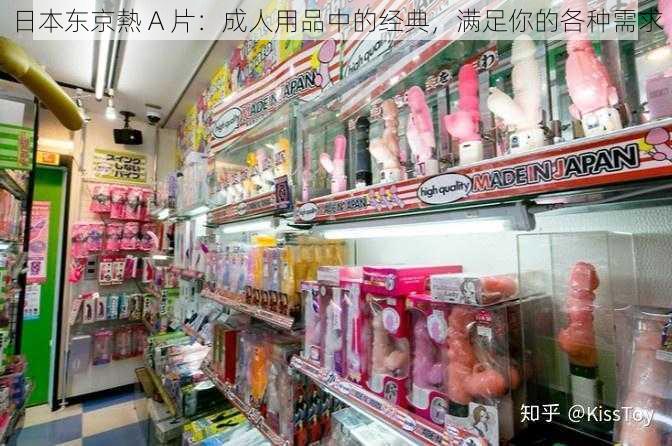 日本东京熱 A 片：成人用品中的经典，满足你的各种需求