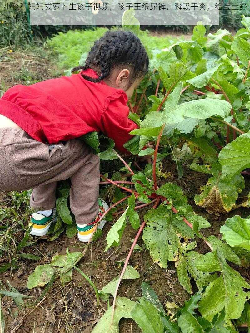 小孩和妈妈拔萝卜生孩子视频，孩子王纸尿裤，瞬吸干爽，给宝宝舒适体验