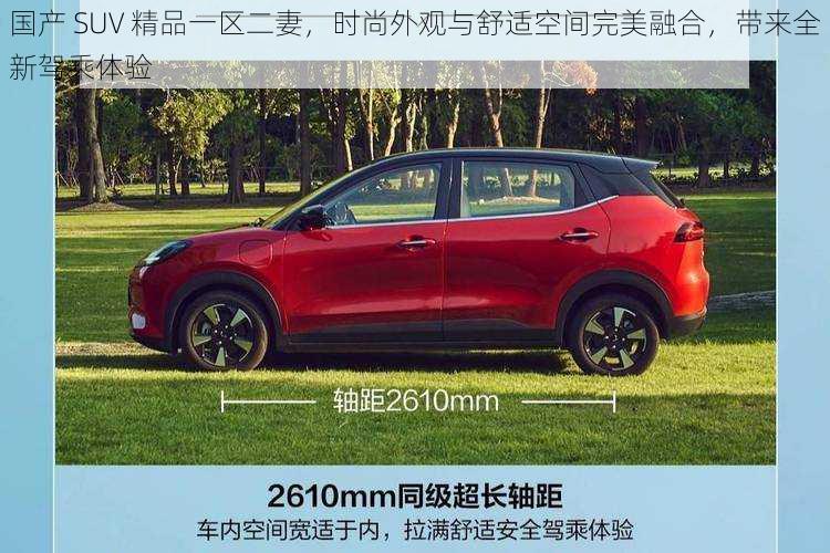 国产 SUV 精品一区二妻，时尚外观与舒适空间完美融合，带来全新驾乘体验