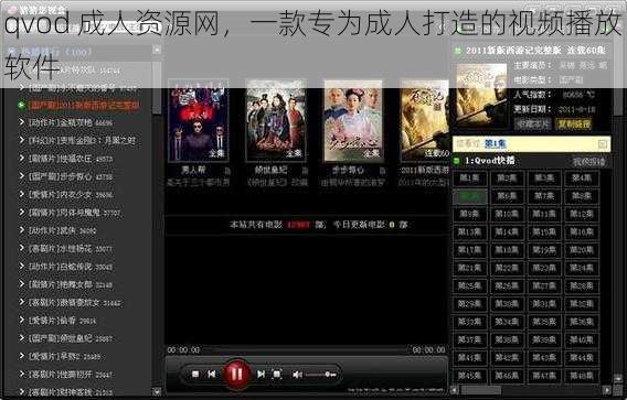 qvod 成人资源网，一款专为成人打造的视频播放软件