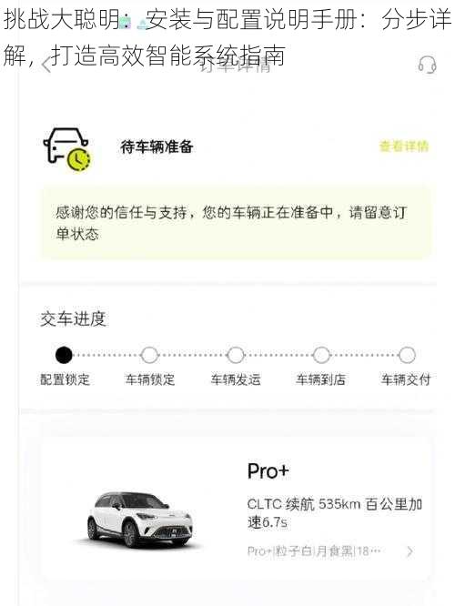 挑战大聪明：安装与配置说明手册：分步详解，打造高效智能系统指南