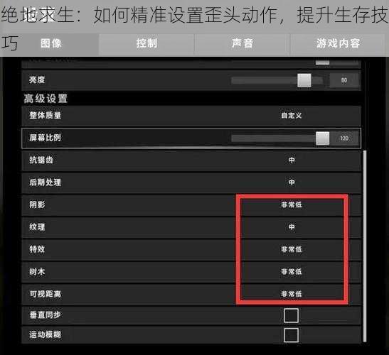 绝地求生：如何精准设置歪头动作，提升生存技巧