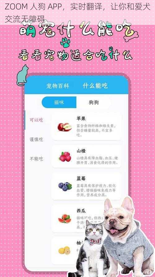 ZOOM 人狗 APP，实时翻译，让你和爱犬交流无障碍