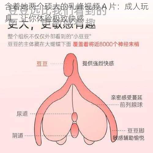 含着她两个硕大的乳峰视频 A 片：成人玩具，让你体验极致快感