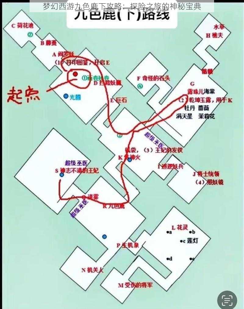 梦幻西游九色鹿下攻略：探险之旅的神秘宝典