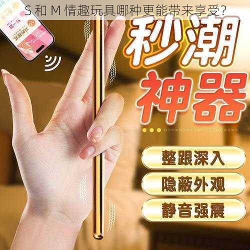 S 和 M 情趣玩具哪种更能带来享受？