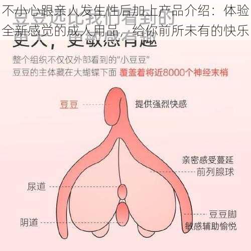 不小心跟亲人发生性后加上产品介绍：体验全新感觉的成人用品，给你前所未有的快乐