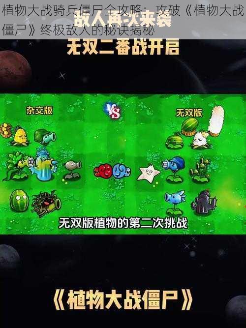 植物大战骑兵僵尸全攻略：攻破《植物大战僵尸》终极敌人的秘诀揭秘