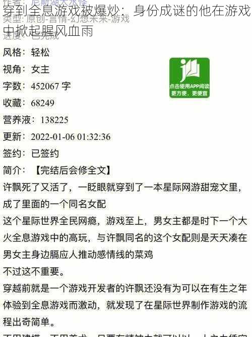 穿到全息游戏被爆炒：身份成谜的他在游戏中掀起腥风血雨