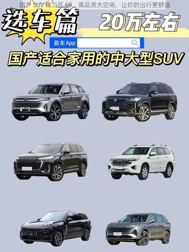 国产 SUV 精二区 69，高品质大空间，让你的出行更舒适