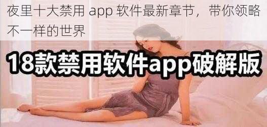 夜里十大禁用 app 软件最新章节，带你领略不一样的世界