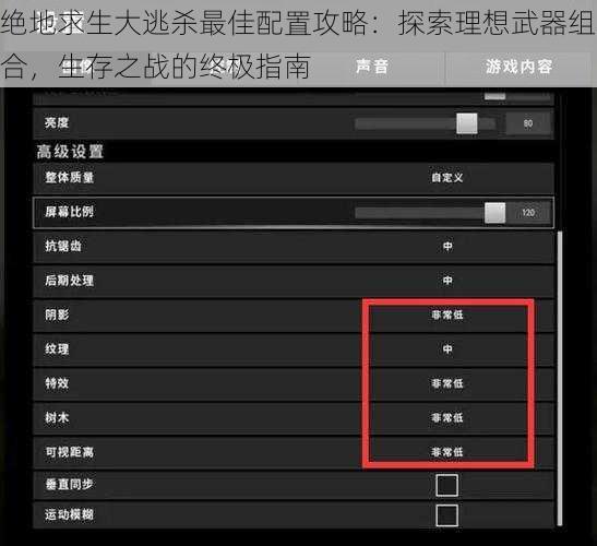 绝地求生大逃杀最佳配置攻略：探索理想武器组合，生存之战的终极指南
