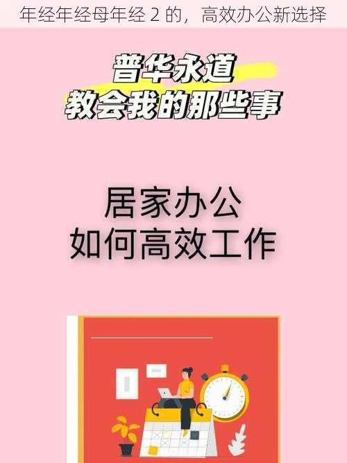 年经年经母年经 2 的，高效办公新选择