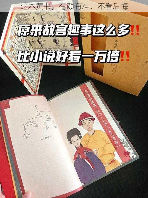 这本黄书，有颜有料，不看后悔