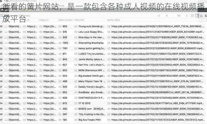 能看的簧片网站，是一款包含各种成人视频的在线视频播放平台