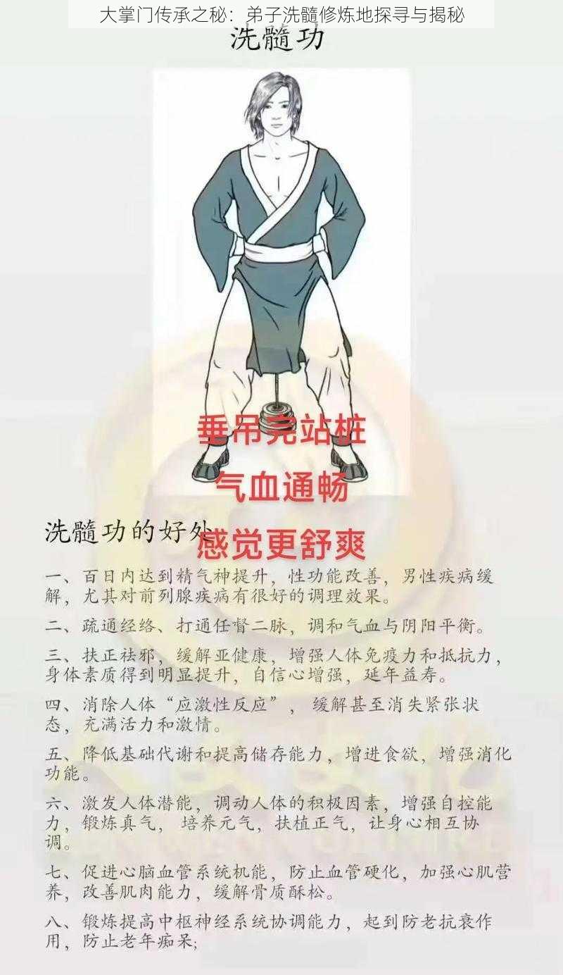 大掌门传承之秘：弟子洗髓修炼地探寻与揭秘