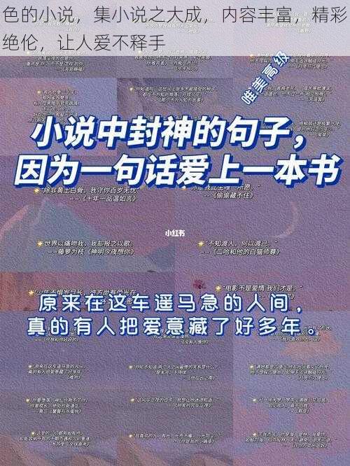 色的小说，集小说之大成，内容丰富，精彩绝伦，让人爱不释手