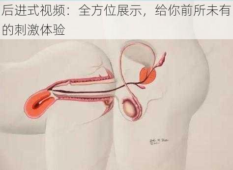 后进式视频：全方位展示，给你前所未有的刺激体验