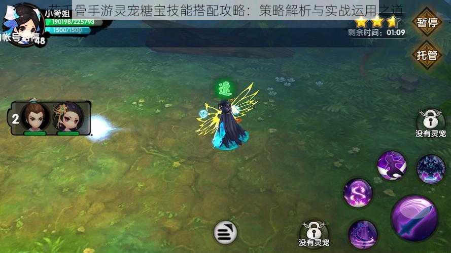 花千骨手游灵宠糖宝技能搭配攻略：策略解析与实战运用之道