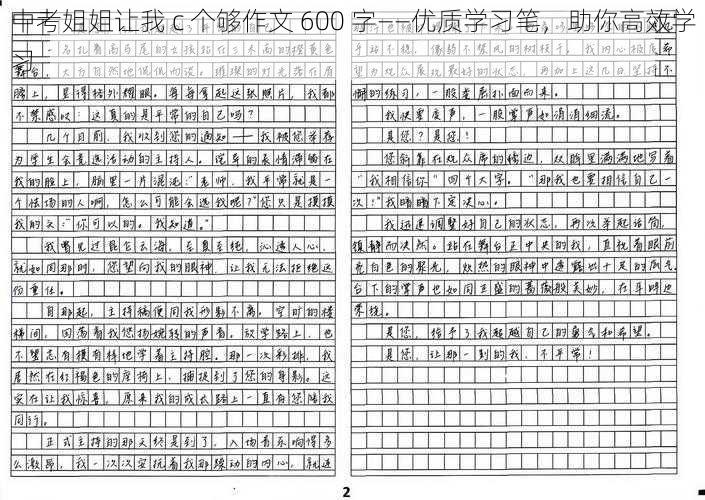 中考姐姐让我 c 个够作文 600 字——优质学习笔，助你高效学习