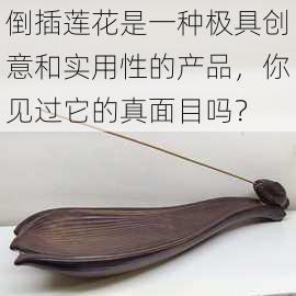 倒插莲花是一种极具创意和实用性的产品，你见过它的真面目吗？