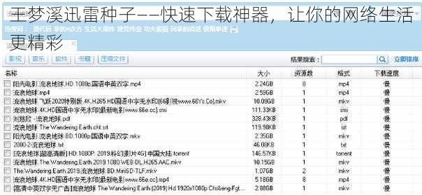 王梦溪迅雷种子——快速下载神器，让你的网络生活更精彩