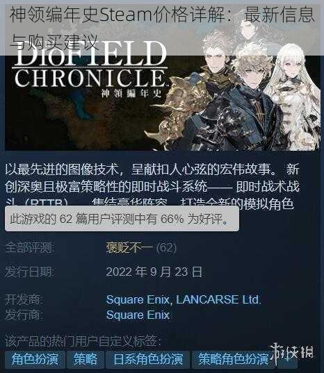 神领编年史Steam价格详解：最新信息与购买建议